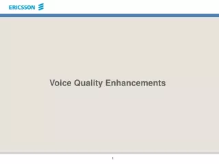 Voice Quality Enhancements