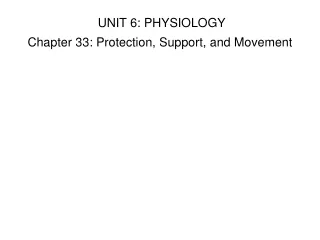 UNIT 6: PHYSIOLOGY Chapter 33: Protection, Support, and Movement