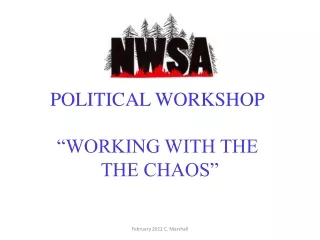 POLITICAL WORKSHOP “WORKING WITH THE  THE CHAOS”