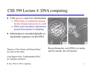 CSE 599 Lecture 4: DNA computing