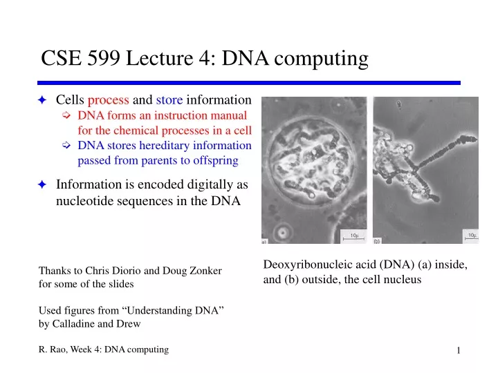 cse 599 lecture 4 dna computing