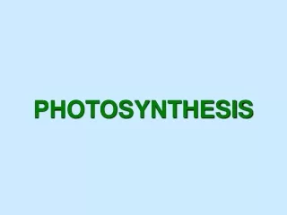 PHOTOSYNTHESIS