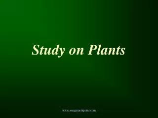 Study on Plants
