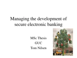 Managing the development of secure electronic banking
