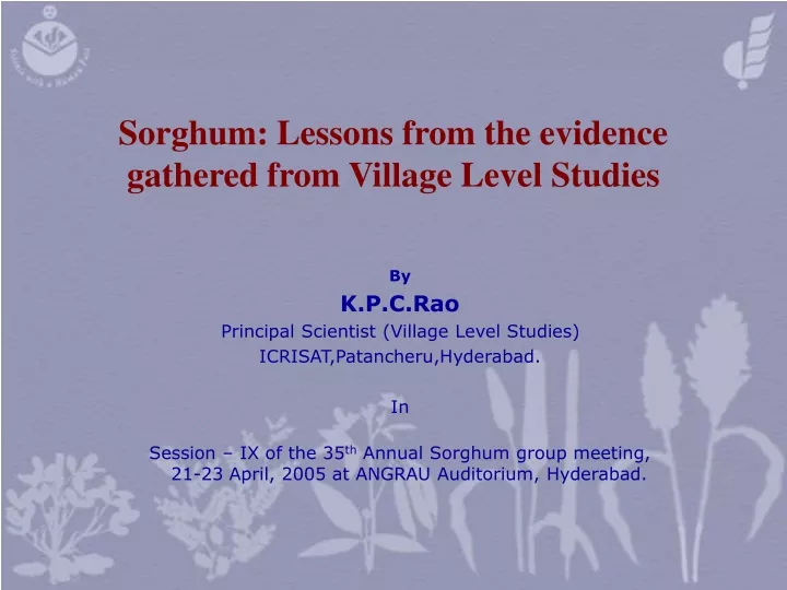 sorghum lessons from the evidence gathered from village level studies