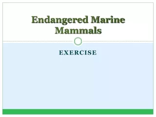 Endangered Marine Mammals