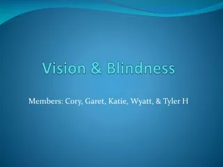 Vision &amp; Blindness