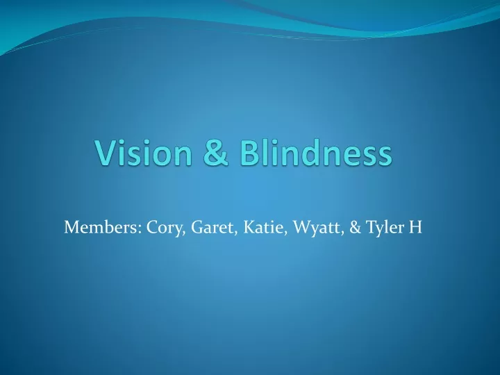 vision blindness