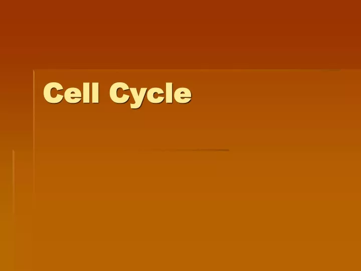 cell cycle