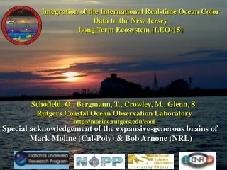 Integration of the International Real-time Ocean Color  Data to the New Jersey