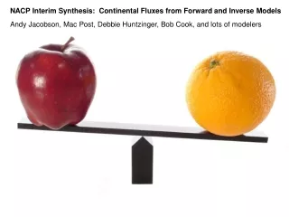 NACP Interim Synthesis:  Continental Fluxes from Forward and Inverse Models