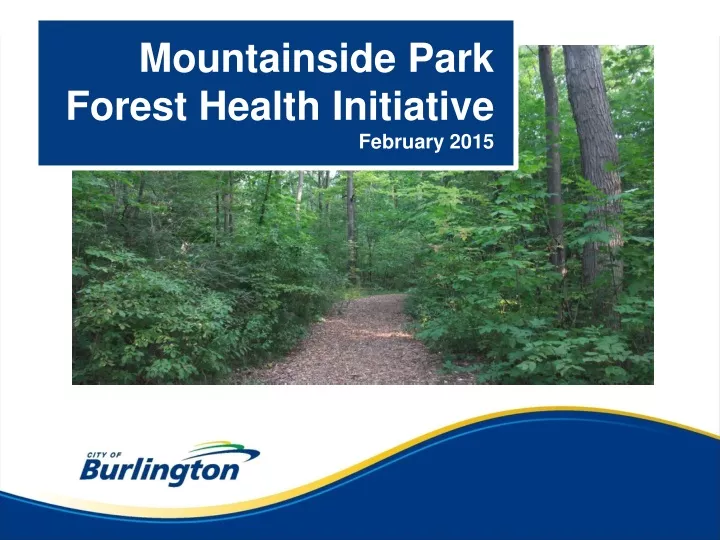 mountainside park forest health initiative