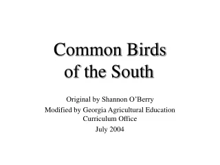 Common Birds    of the South