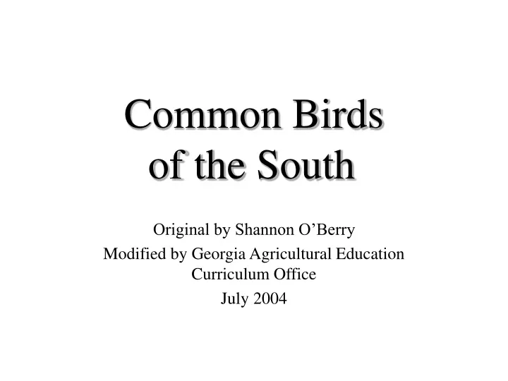 common birds of the south