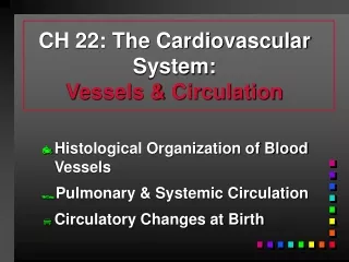 CH 22: The Cardiovascular System: Vessels &amp; Circulation