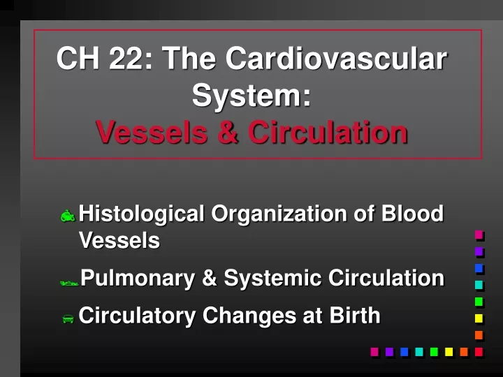 ch 22 the cardiovascular system vessels circulation