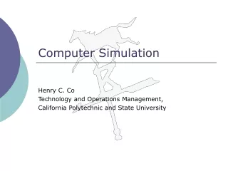 Computer Simulation