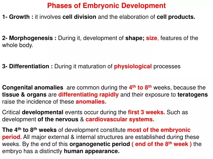 phases of embryonic development 1 growth