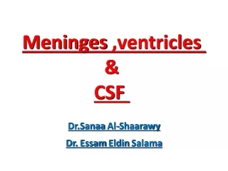 Meninges  ,ventricles  &amp; CSF
