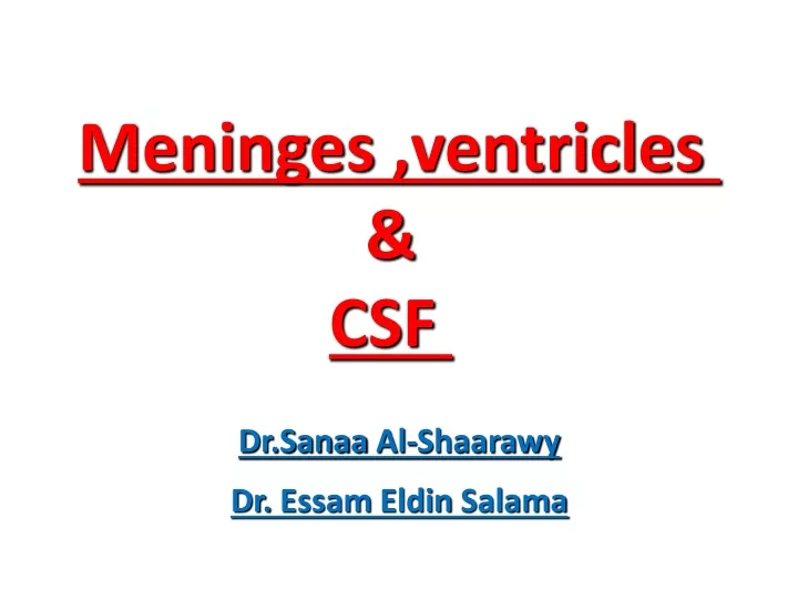 meninges ventricles csf