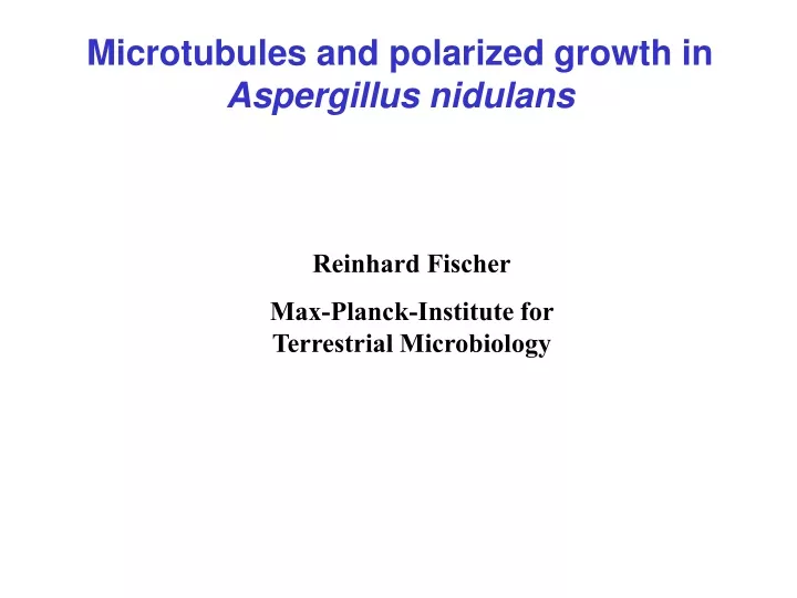 microtubules and polarized growth in aspergillus