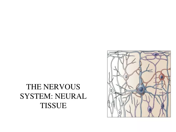 How to draw Neuron unit of nervous tissue - YouTube