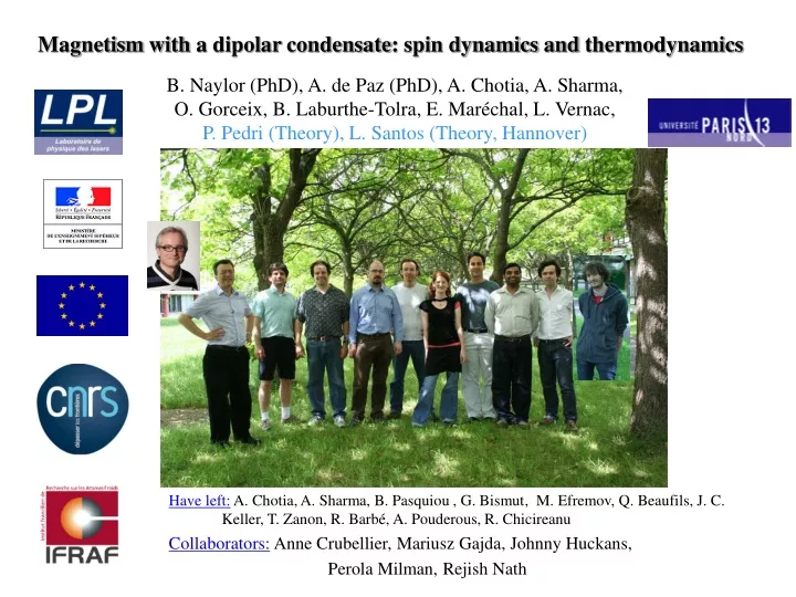 magnetism with a dipolar condensate spin dynamics