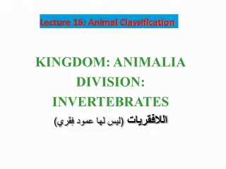 Lecture 16: Animal Classification