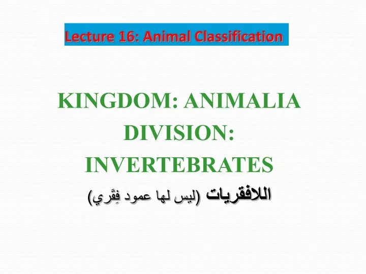 lecture 16 animal classification