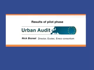 What does the Urban Audit do? It provides