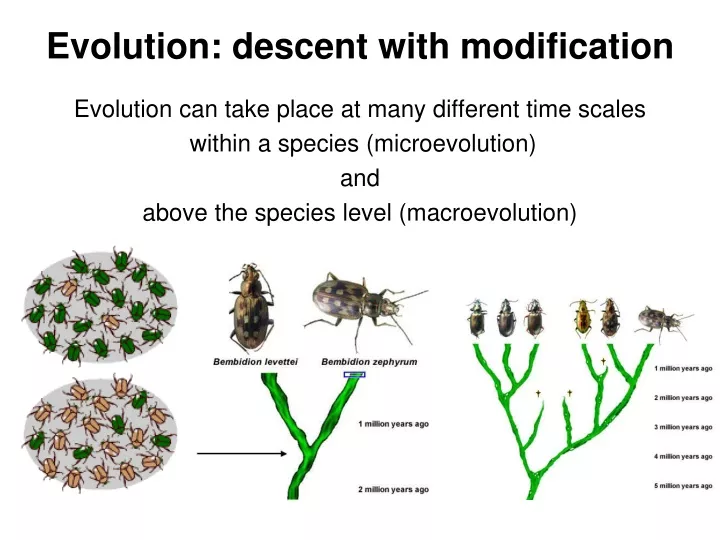 evolution descent with modification