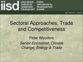Sectoral Approaches, Trade and Competitiveness