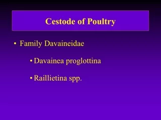 Cestode of Poultry