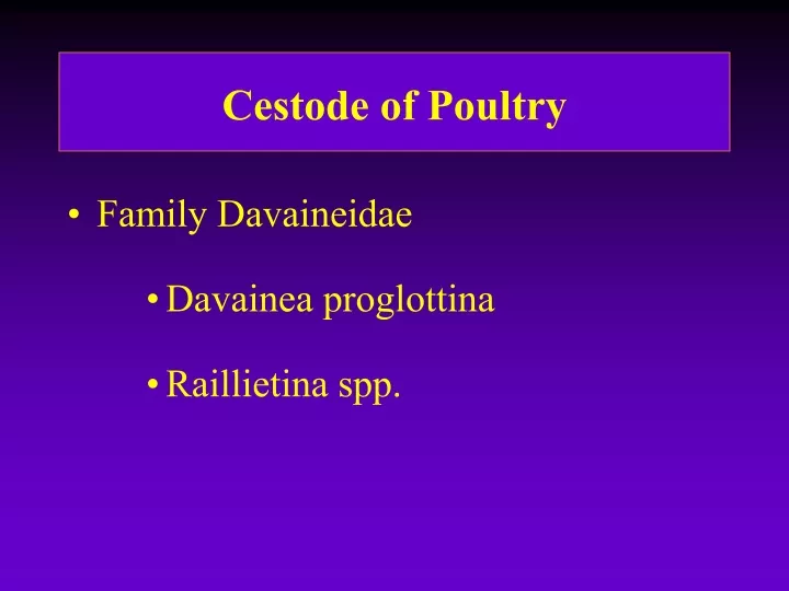 cestode of poultry