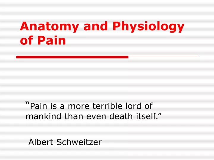 anatomy and physiology of pain
