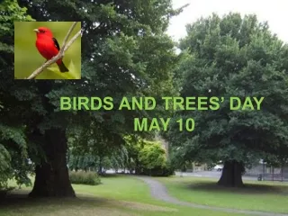 Madarak és fák napja - május 10