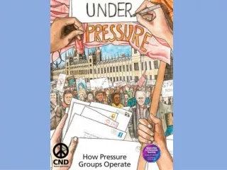Look at what pressure groups are, and some examples of famous pressure groups