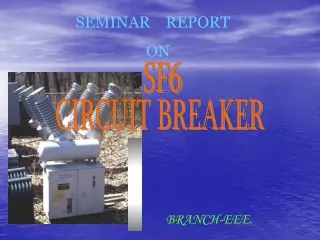 SEMINAR    REPORT 	               ON