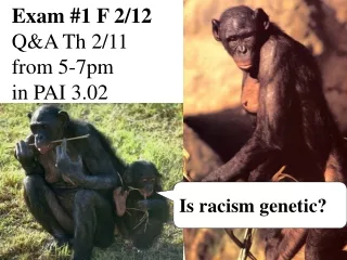 Is racism genetic?