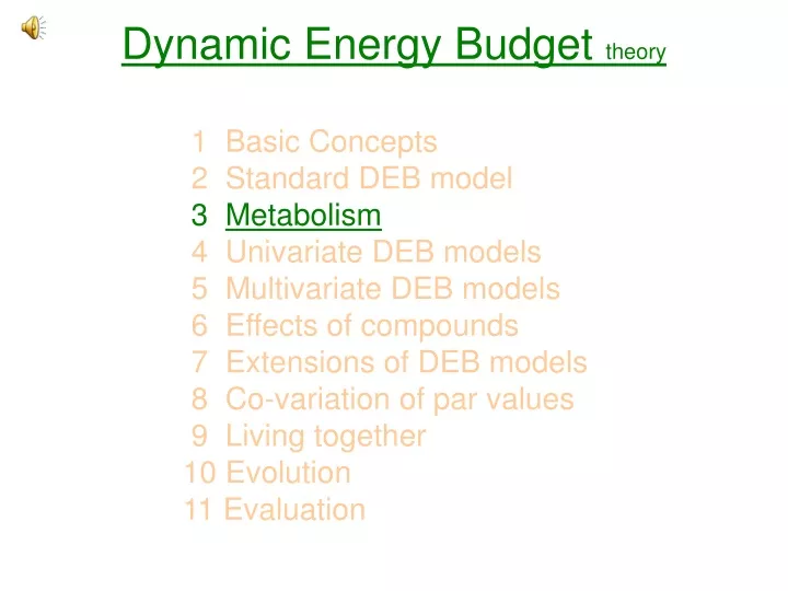 dynamic energy budget theory
