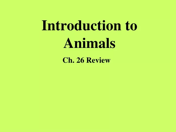 introduction to animals