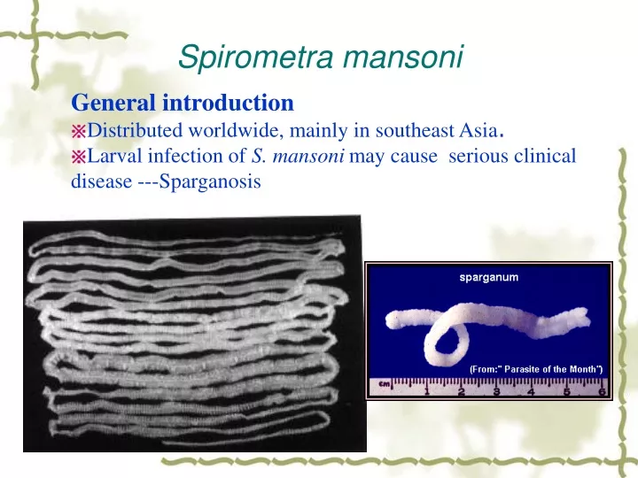 spirometra mansoni