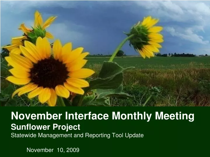 november interface monthly meeting sunflower project statewide management and reporting tool update