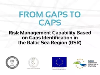 FROM GAPS TO CAPS Risk Management Capability Based on Gaps Identification in