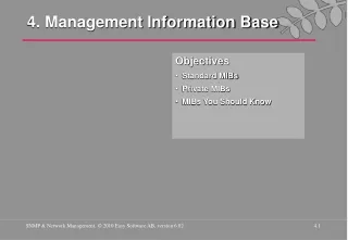 4. Management Information Base