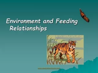 Environment and Feeding Relationships