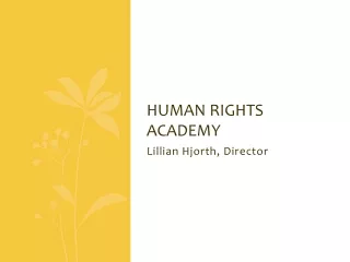 Human  rights academy