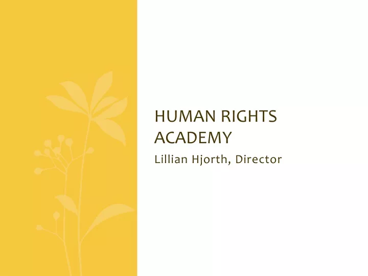 human rights academy