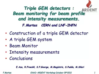 Triple GEM detectors : Beam monitoring for beam profile  and intensity measurements.