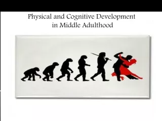Physical and Cognitive Development  in Middle Adulthood